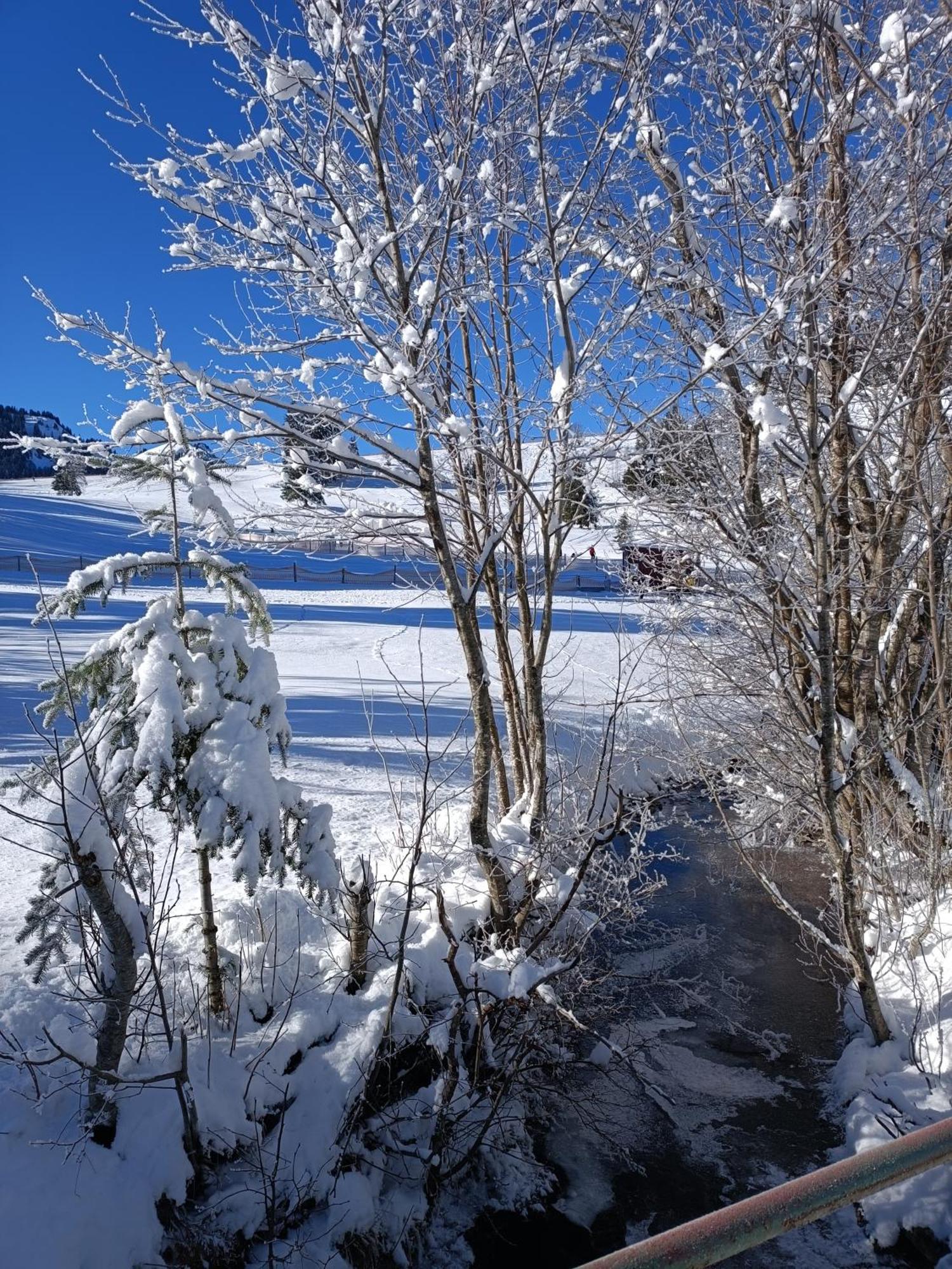 Appartement Alpblick Sonthofen Luaran gambar